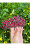 Burgundy Bridal Tiara Crystal Rhinestone Crown - 3