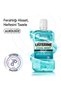 COOL MİNT 500 ML 2 ADET - 2
