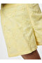 PCGINGER HW SHORTS WVN - 6