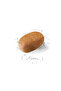 - Maltese Adult 1.5 KG - 3
