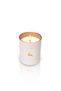 Apple Cinnamon Mum 220 cc. - 5
