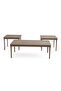 Varduhi Coffee Table Set (1+2)- Silver - 7