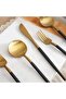 Evona 20-piece Cutlery Set -gold Black - 2