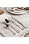 Evren 24-piece Cutlery Set - Chrome
