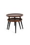 KALANI COFFEE TABLE SET OF 2 ROUND - BROWN BLACK - 5