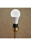 Toshiba E27 Led Bulb 15w 1350lumen 6500k Day Light - 3