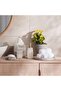 Neo Marble Soap Dish 15X9X2.5cm - Beige - 4