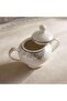 Oriental 49-piece New Bone China Dinner Set - White - 7