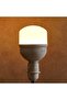 Levin Led T-bulb 30w E27 3000k Warm Light - White - 2