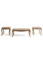 Hannab Coffee Table Set (1+2)- Silver - 8