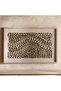 Braska Handcrafted Shell Shadow Box 120x80cm - Beige - 4