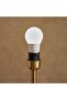 Toshiba E27 LED Bulb 12W 970Lumen 3000K Warm White - 3