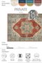 Private Beige Ethnic Patterned Authentic Woven Chenille Carpet Vintage Belly Rug for Living Room (Xxx) - 3
