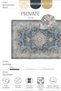 Private Cream Authentic Ethnic Patterned Woven Chenille Rug, Distressed Vintage Medallion Living Room Rug (xxx) - 3