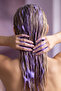 Silver Correct Anti-Orange Purple Shampoo - 4