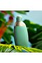 Eden Women's Eau De Parfum 50 ml3360373048878 - 3