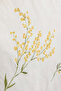Loretta Yellow 100% Cotton Double Duvet Cover Set (PP) - 3
