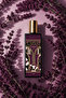 BGY BARGELLO UNIQUE UNISEX 50 مل عطر EDP إصدار أسود - 3