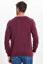 Men's Standard Fit Regular Cut Crew Neck Claret Red Knitwear Sweater - 9