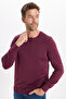 Men's Standard Fit Regular Cut Crew Neck Claret Red Knitwear Sweater - 6