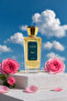 Niche Paradise Elysian Unisex 75 ml Extract De Perfume - 3