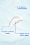 Natural Water Based Anti-Aging Anti Age Night Cream 50 ml - 4