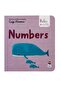 Numbers - Baby University First Concepts Stories 2