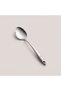 Protools Shiny Serving Spoon