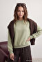 Mint Kalın İçi Polarlı Regular/Normal Kalıp Bisiklet Yaka Basic Örme Sweatshirt TWOAW24SW00101