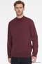 Men's Burgundy Cotton Standard Fit Regular Cut Half Turtleneck Sweatshirt