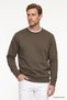 Men's Khaki Cotton Standard Fit Regular Cut 2 Thread Crew Neck Sweatshirt - 2