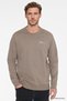 Men's Mink Cotton Standard Fit Regular Cut Crew Neck Sweatshirt