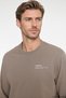 Men's Mink Cotton Standard Fit Regular Cut Crew Neck Sweatshirt - 5