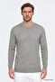 Men's Water Green Cotton Standard Fit Regular Cut Crew Neck Jacquard Knitwear Sweater