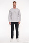 Men's Stone Cotton Standard Fit Regular Cut Crew Neck Sweatshirt - 2