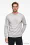 Men's Stone Cotton Standard Fit Regular Cut Crew Neck Sweatshirt