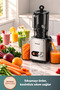 Vitamillion 2605H Solid Fruit Juicer - 6
