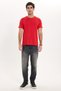 Men's Slim Fit Cotton Soft Texture Lycra Flexible Fabric Basic Red Crew Neck T-Shirt - 2