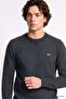 Cotton Regular Fit Regular Cut Crew Neck Knitwear Sweater - 2