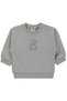 Teddy Printed 6-18 Months Sweatshirt - Gray