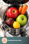 Vitamillion 2605H Solid Fruit Juicer - 3