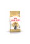 British Shorthair Cat Food - 4 Kg