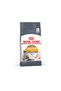 Cat Foods