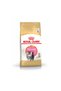Kitten Food for Persian Cat 2kg