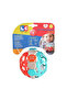 Set of 2 Caterpillar Ball Rattle and Ring Rattles - 3