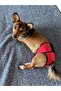 Female Dog Menstrual and Urination Pants with Pads, Washable - 6