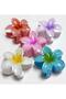 Set de 3 catarame Lotus - 3
