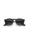 Rb4187 Chrıs 622/8g 54 18 145 3n Women's Sunglasses - 6