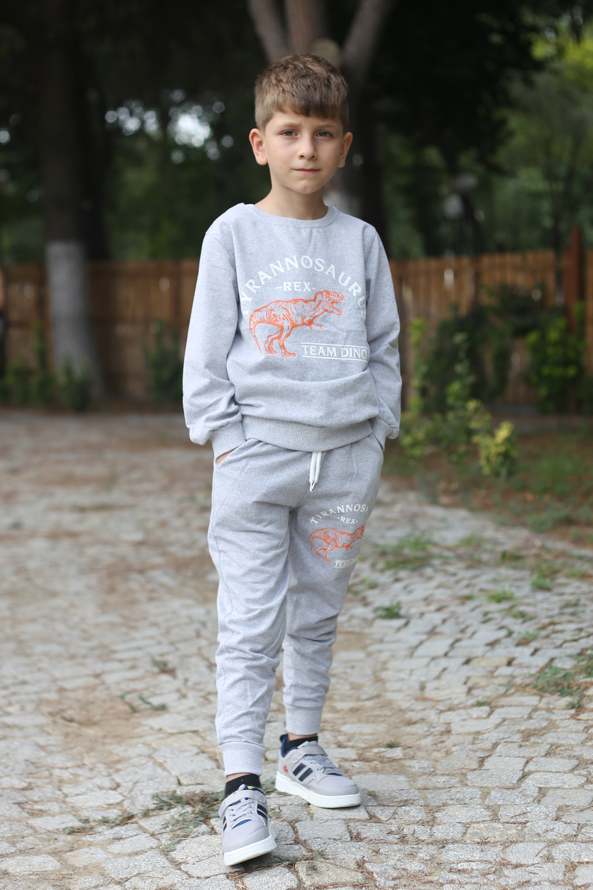 Tyrannosaurus printed 2 thread fabric pocket top and bottom boys tracksuit set for ages 7-14 - 2
