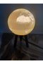 Planet Bedside/Table Lamp- World- - 3